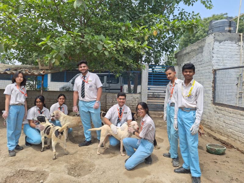 Community-Service-4