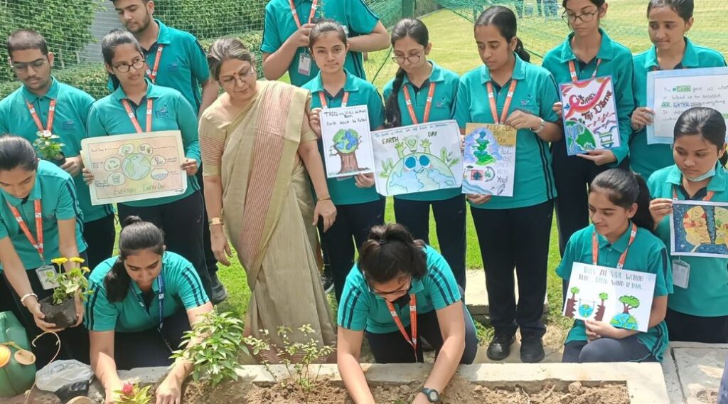 Plantation2 1024x568