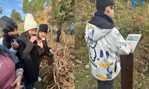 Corbett National 2 3feb 2026