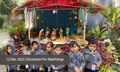 Excursion for Hatchlings