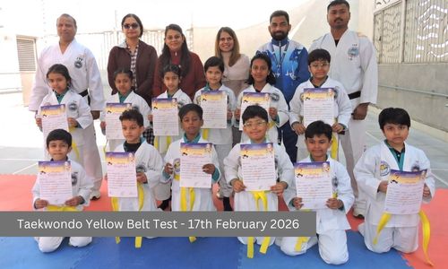 Taekwondo Yellow Belt Test - 17th February 2026